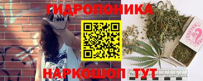 ECSTASY Ливны